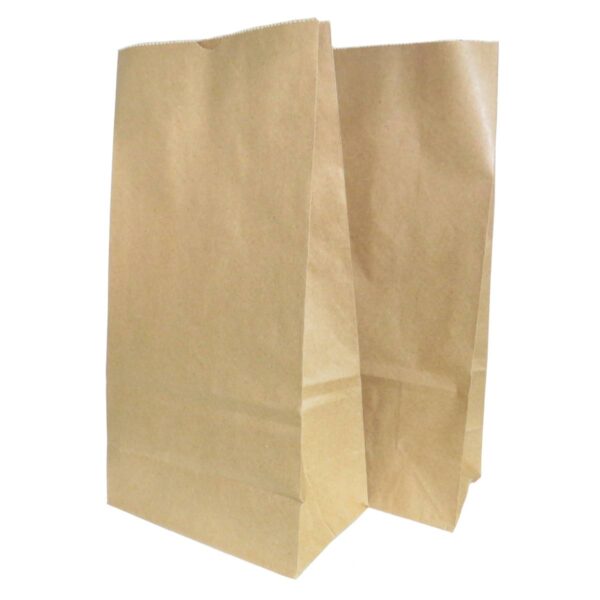 Saco Kraft Delivery N.1 (18 x 10,5 x 35 cm) Liso 100 unidades 2