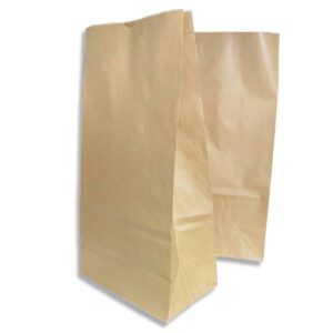 Saco Kraft Delivery N.1 (18 x 10,5 x 35 cm) Liso 100 unidades