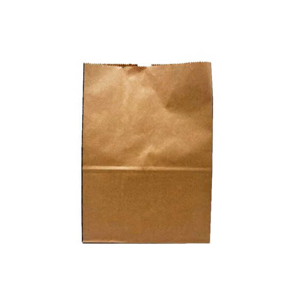 Saco Kraft p/ Delivery (24x14x33cm) Linha Hamburgueria – 100 Unidades 6