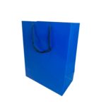 Sacola Papel Presente Azul (21 x 11 x 20,5 cm) – 10 unidades 1